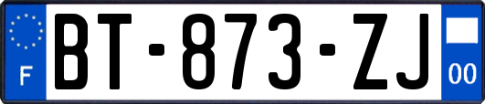 BT-873-ZJ