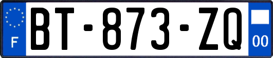 BT-873-ZQ