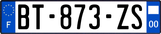 BT-873-ZS