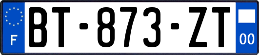 BT-873-ZT