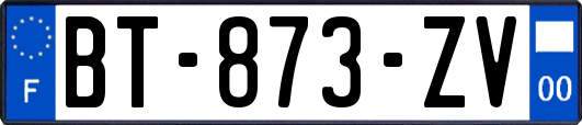 BT-873-ZV