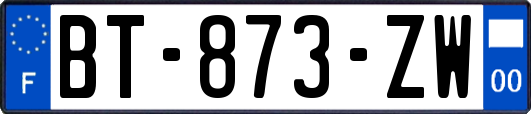 BT-873-ZW