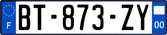 BT-873-ZY