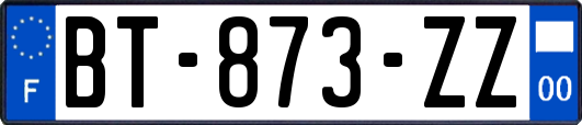 BT-873-ZZ