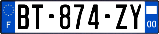 BT-874-ZY