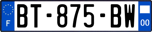 BT-875-BW