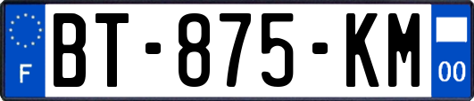 BT-875-KM