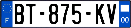 BT-875-KV