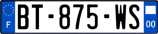 BT-875-WS