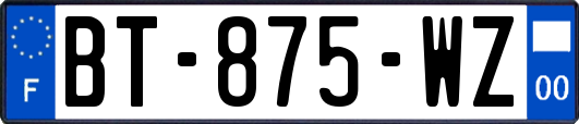 BT-875-WZ