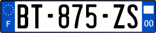 BT-875-ZS
