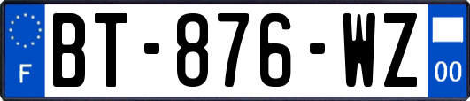 BT-876-WZ