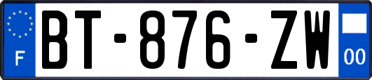 BT-876-ZW