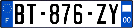 BT-876-ZY