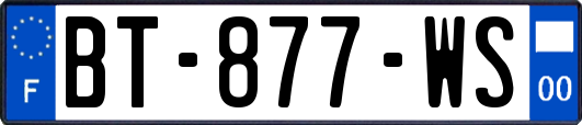 BT-877-WS