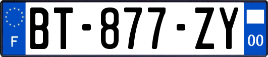 BT-877-ZY