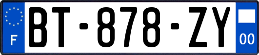 BT-878-ZY
