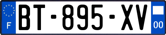 BT-895-XV