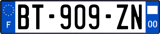 BT-909-ZN