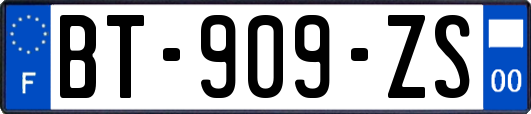 BT-909-ZS