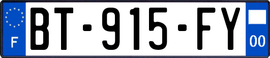 BT-915-FY