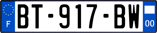 BT-917-BW