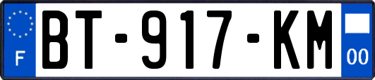 BT-917-KM