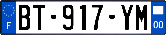 BT-917-YM