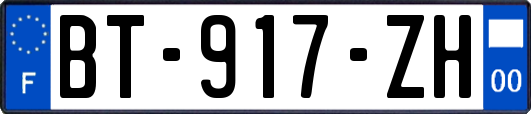 BT-917-ZH