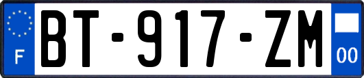 BT-917-ZM