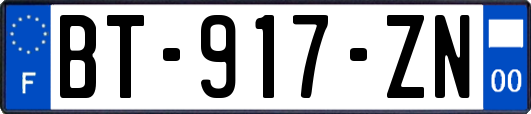 BT-917-ZN