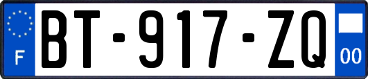 BT-917-ZQ