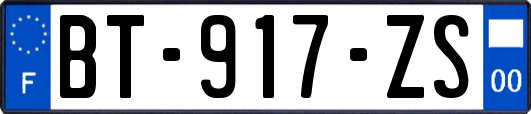 BT-917-ZS