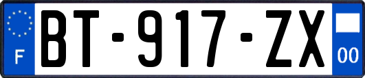 BT-917-ZX