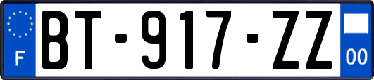 BT-917-ZZ