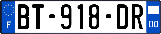 BT-918-DR