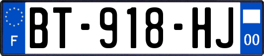 BT-918-HJ