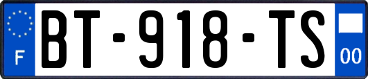 BT-918-TS