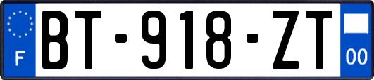 BT-918-ZT