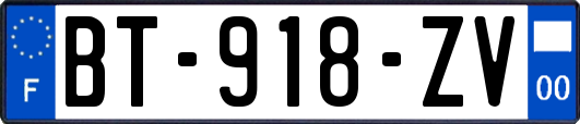 BT-918-ZV