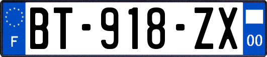 BT-918-ZX