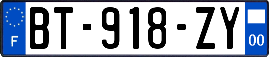 BT-918-ZY