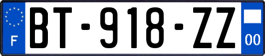 BT-918-ZZ