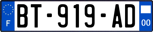 BT-919-AD