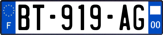 BT-919-AG