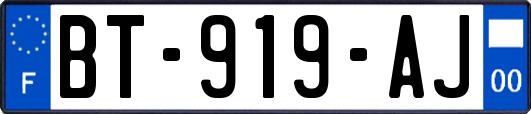 BT-919-AJ