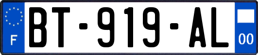 BT-919-AL