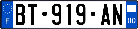 BT-919-AN