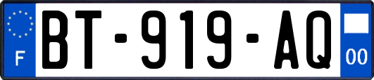 BT-919-AQ