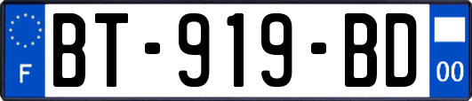 BT-919-BD